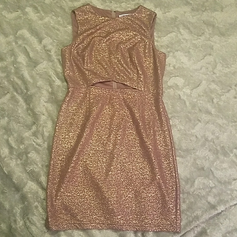 Mauve and gold Adrianna Papell cocktail dress